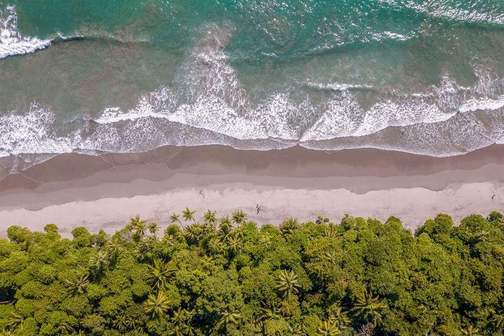 Arenas Del Mar Beachfront And Rain Forest Resort Costa Rica Facilities photo